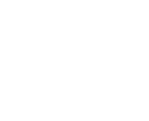 house flag thin